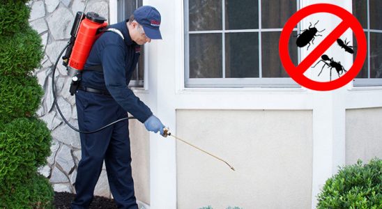 Başkale Gümüşkurt İlaçlama böcek ilaçlama ve haşere kontrolü — ilaclama-tr.com